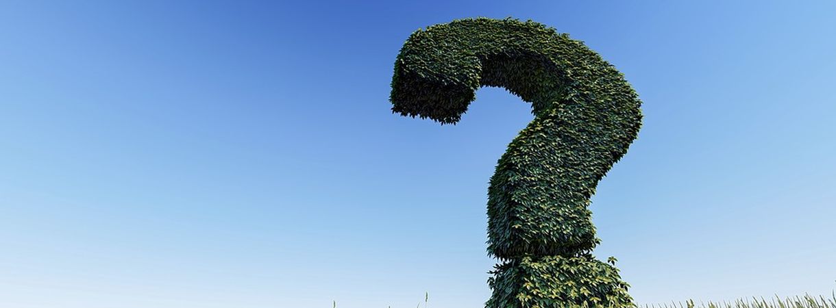 Fragezeichensymbol aus Hecken vor blauem Himmel