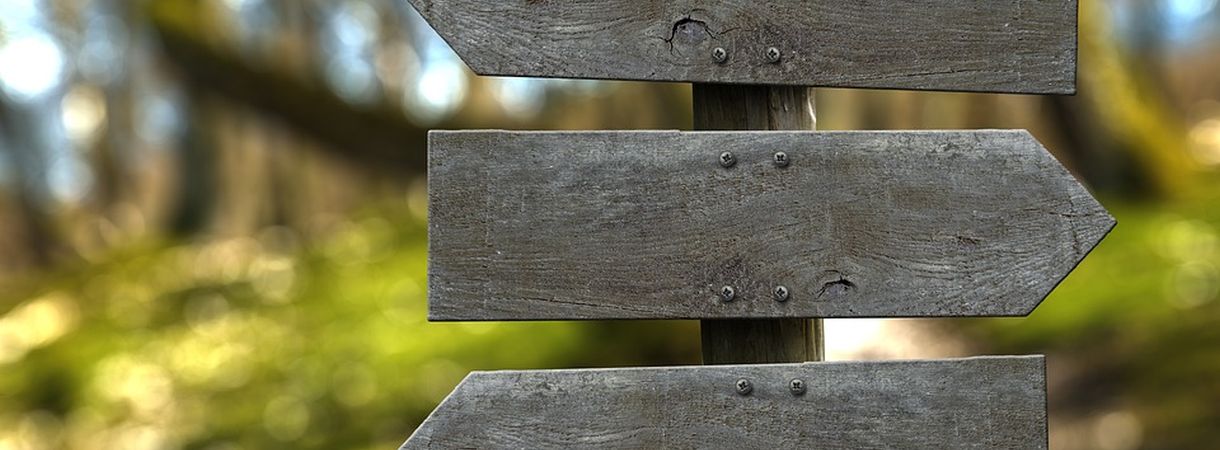 Wegweiser mit Holzpfeilen. Im Hintergrund unscharfe Landschaft