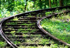 Gleis mit Rechtskurve auf Gras