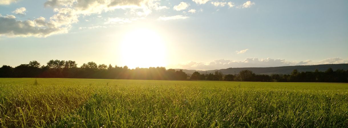Blick auf ein Feld mit untergehender Sonne
